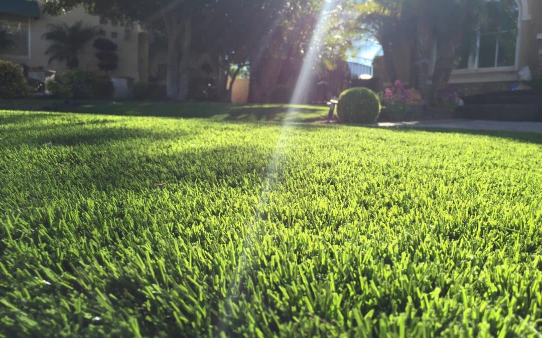 Synthetic Grass Yarn – Part 3: V-Shape