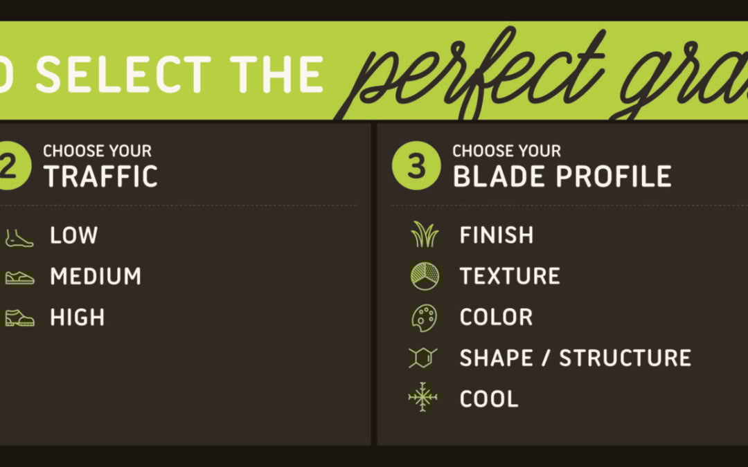 The Menu Board: How to choose the best fake grass for your project