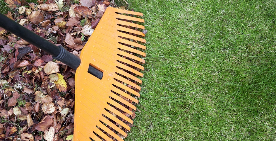 The Maintenance Routine for Artificial Grass