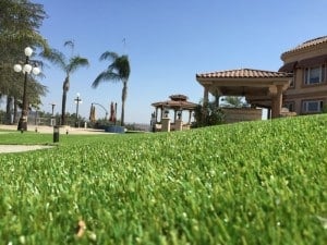 Nature's Sod S-shape 2