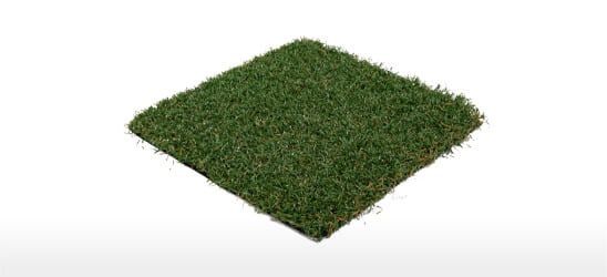 card-playscape-premier