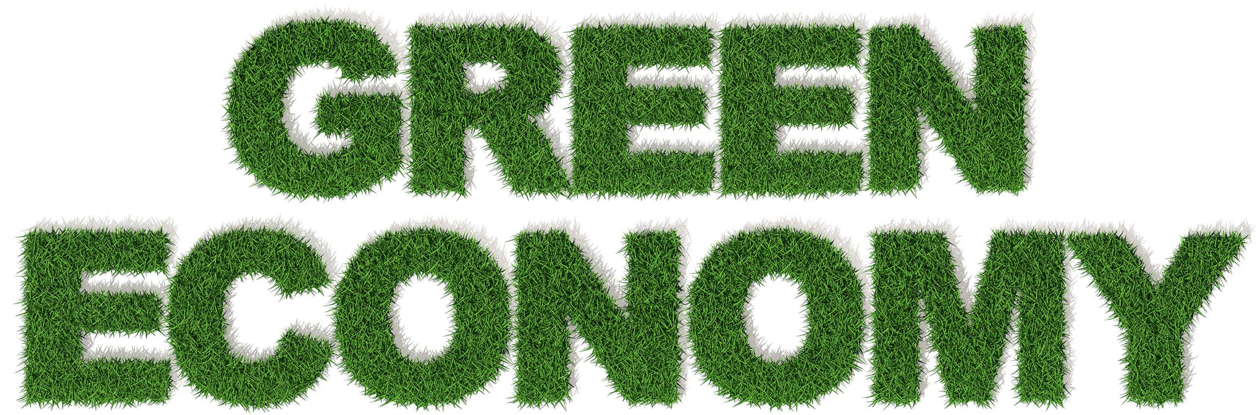 Purchase Green Territory Holder Program