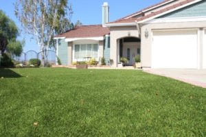 Our Nature's Sod Premier was used to create this beautiful, realistic lawn. 
