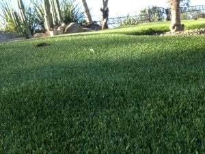 The look and feel of our Spring Rye Line is incredible! 