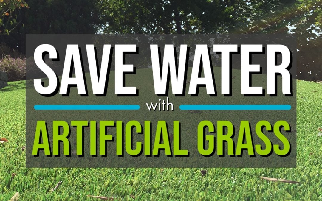 Drought-Tolerant Landscaping: An Environmental Solution