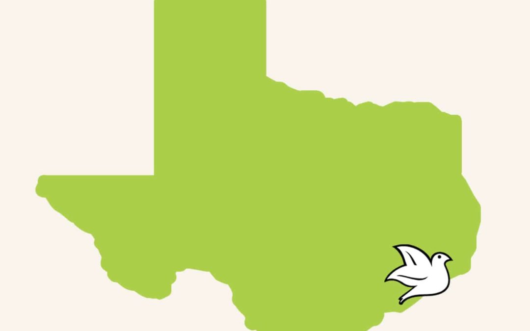 Purchase Green Artificial Grass Houston Now Open!