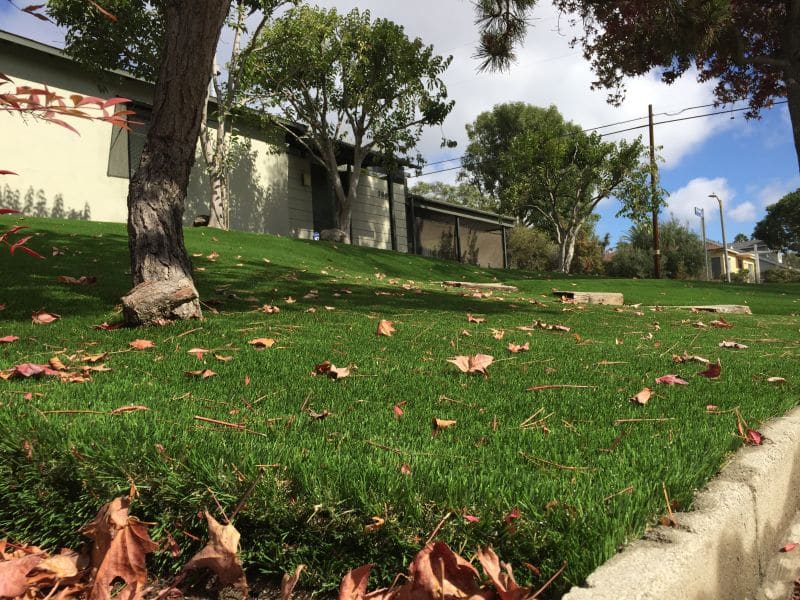 Fall in Love with Artificial Grass