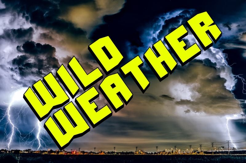 Wild Weather: 4 Things to Know About Artificial Grass