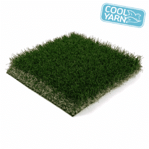 Arizona Platinum Olive