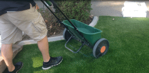 Using a drop spreader makes adding infill easy.