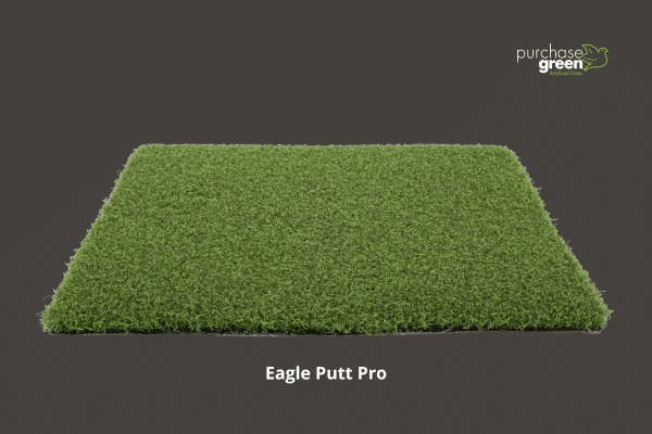 Eagle Putt Pro 