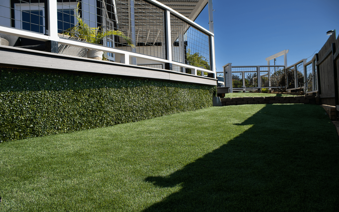 NF 360 + Boxwood Ivy