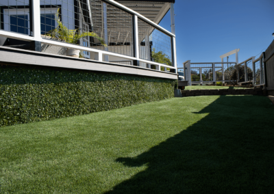 NF 360 + Boxwood Ivy