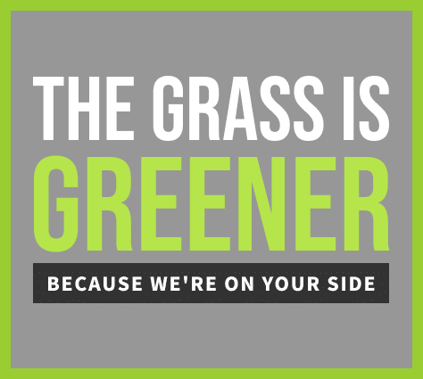 Purchase Green Grass is Greener