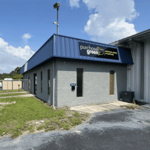 artificial grass tampa