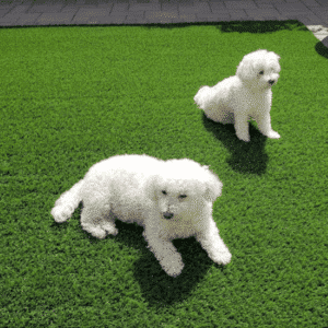 installer using a stake to secure turf