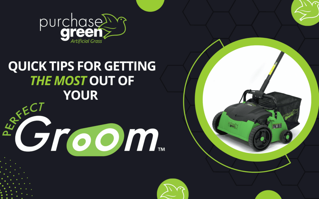 Quick Tips for Getting the Most Out of Your PerfectGroom